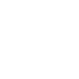 travellers' choice